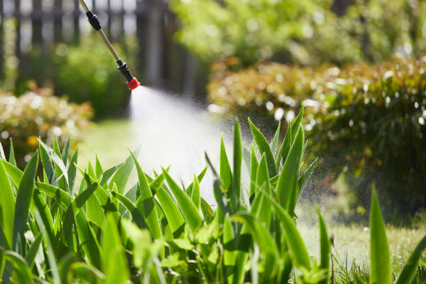 24/7 Emergency Termite Control experts in Winter Park, FL