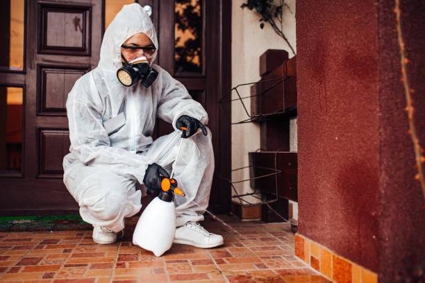 Reliable Termite Control contractor in Winter Park, FL by Nex Pest Control