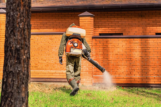 Top rated local Termite Control specialists in Winter Park, FL